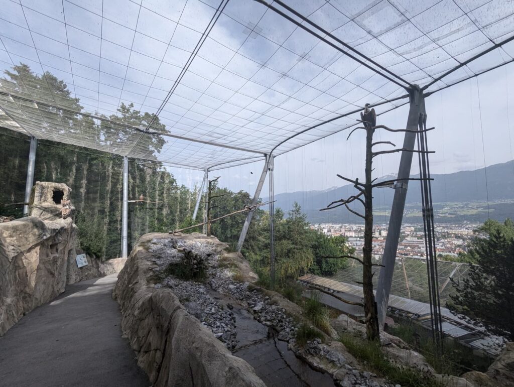 2024 - Innsbruck 2024 1Q 18